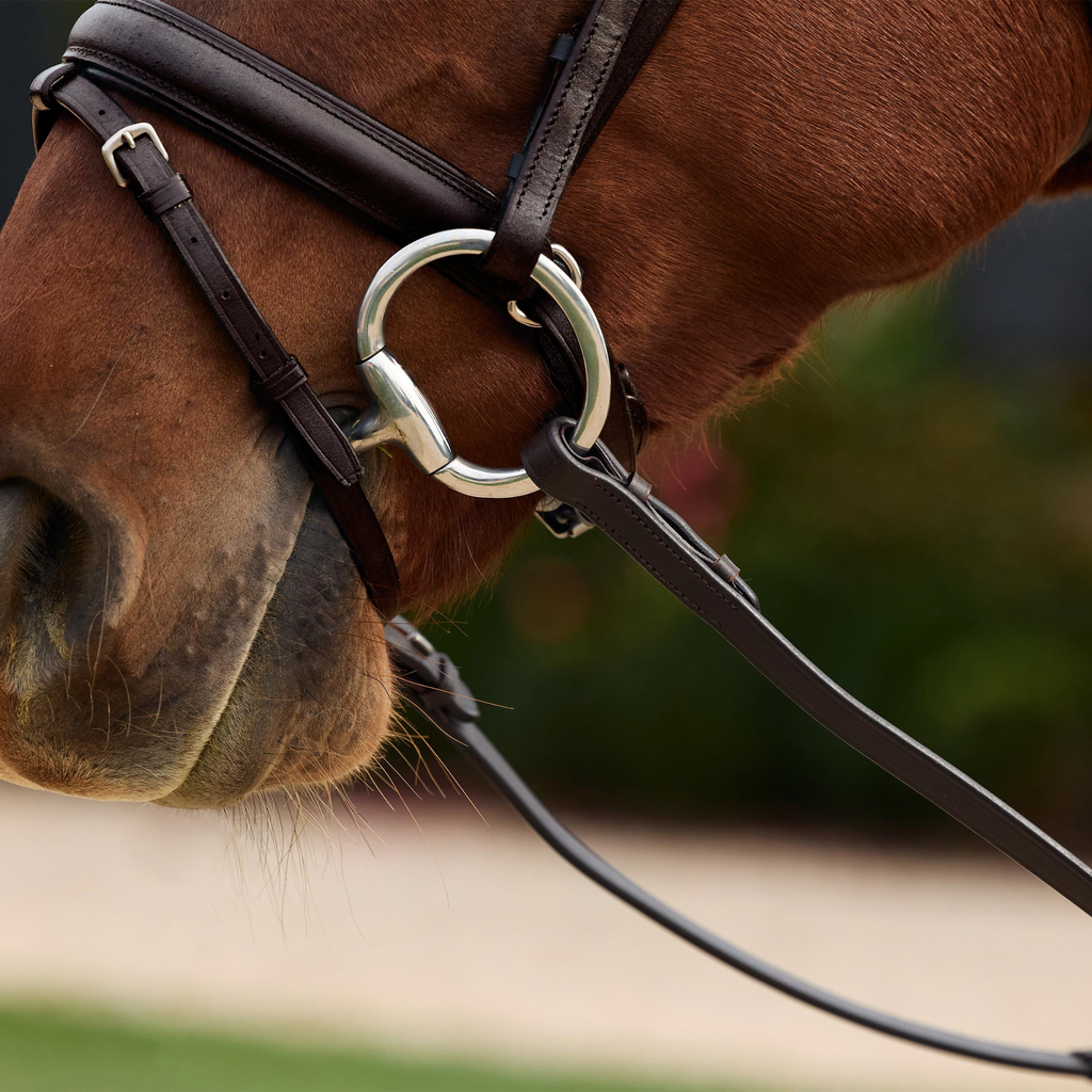 Dublin Rainbow Reins - Brown/Multi