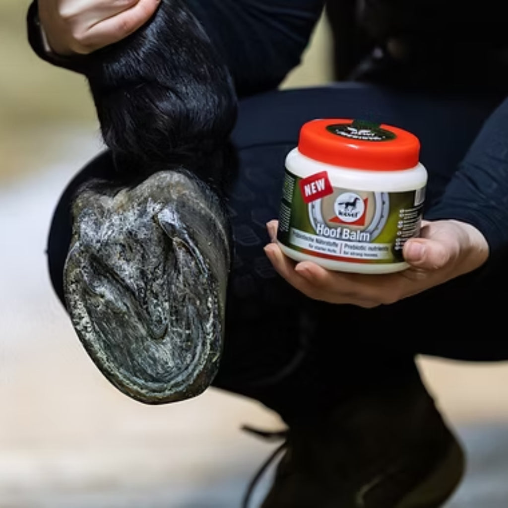 Leovet Hoof Balm Prebiotic - 450ml
