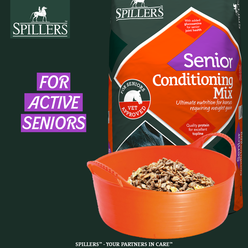 SPILLERS SENIOR CONDITION MIX - 20KG