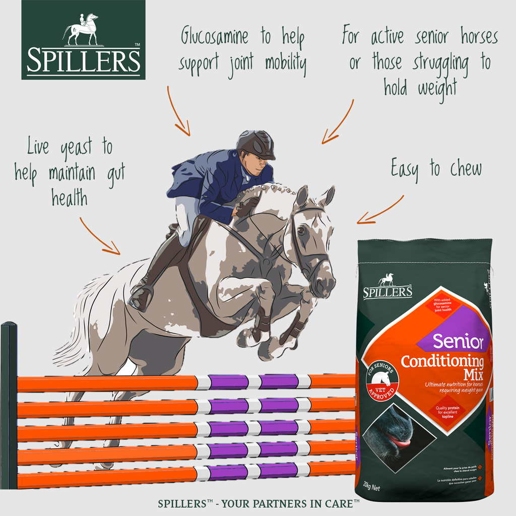 SPILLERS SENIOR CONDITION MIX - 20KG