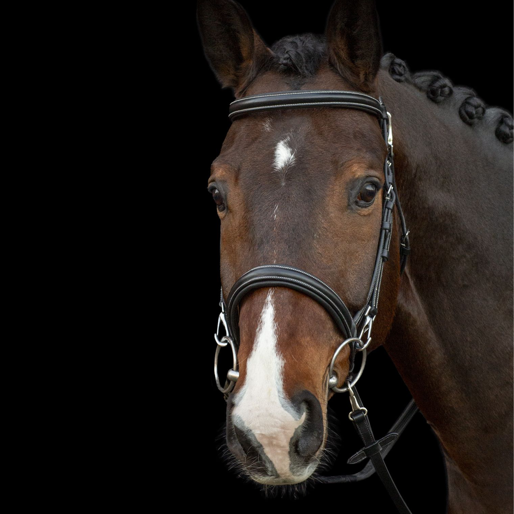 Schockemohle Dortmund Bridle - Black/Cream/Silver