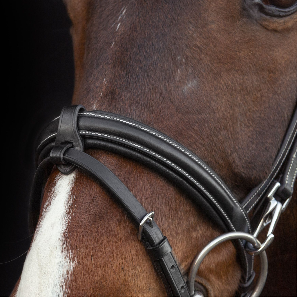 Schockemohle Dortmund Bridle - Black/Cream/Silver