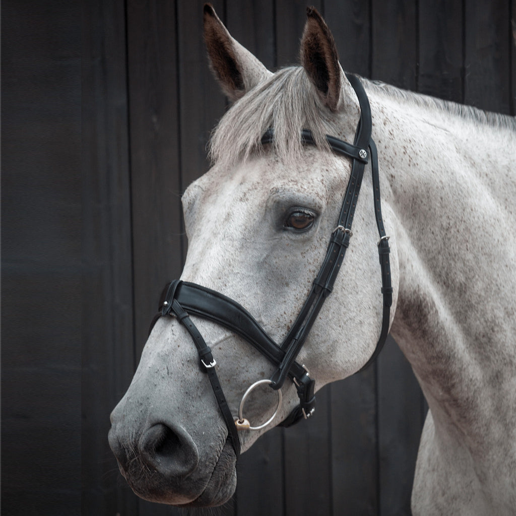 Henry James Saddlery Patent Dressage Bridle - Black