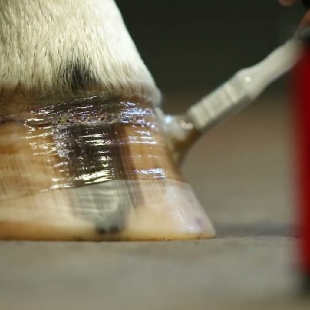 Carr Day Martin Cornucrescine Daily Hoof Barrier - 500ml