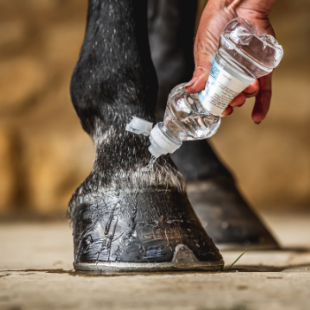 Carr Day Martin Cornucrescine Daily Hoof Barrier - 500ml
