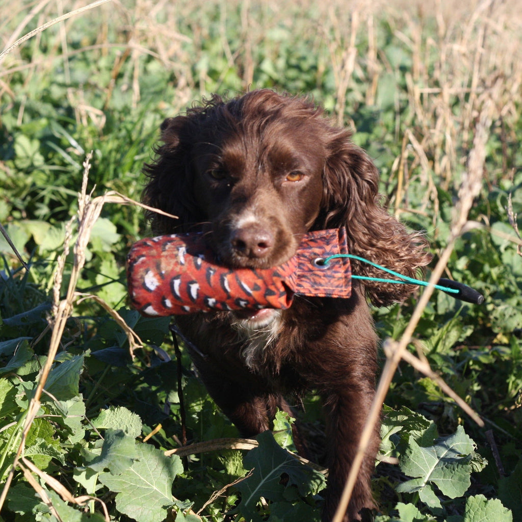 Sporting Saint Puppy Flight Pheasant Dummy