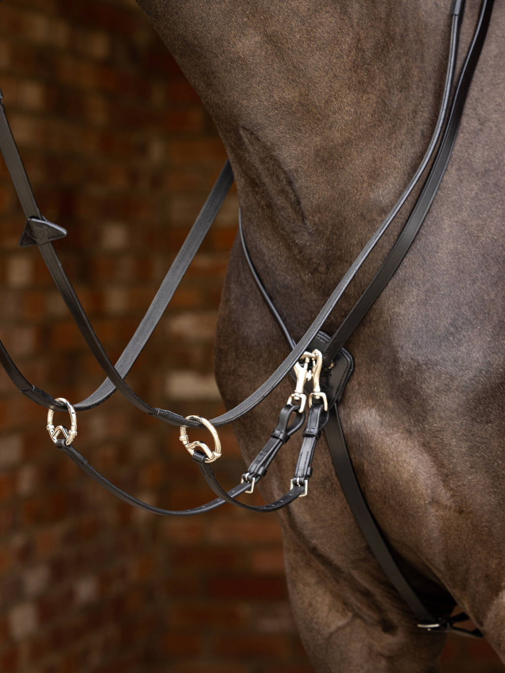 LeMieux Kudos Running Martingale - Brown/Brass