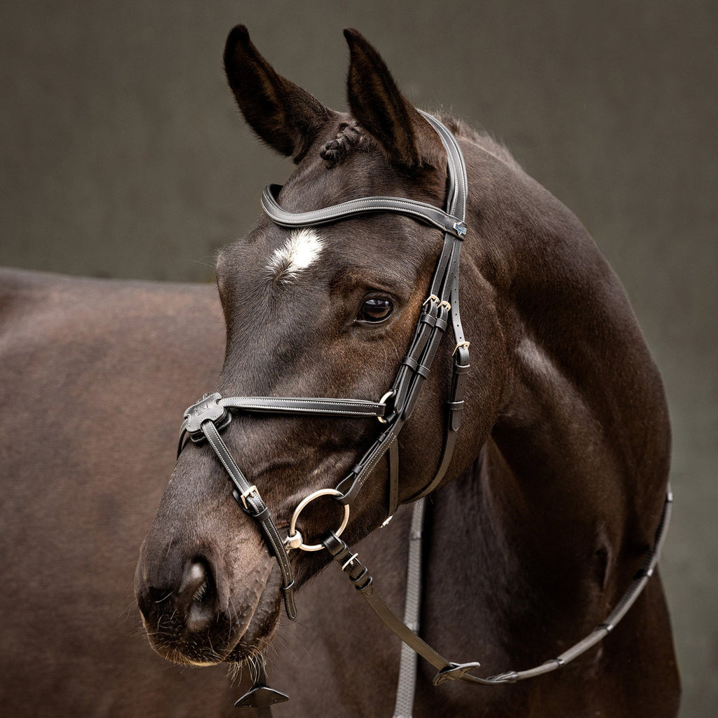 LeMieux Arika Grackle Bridle - Black