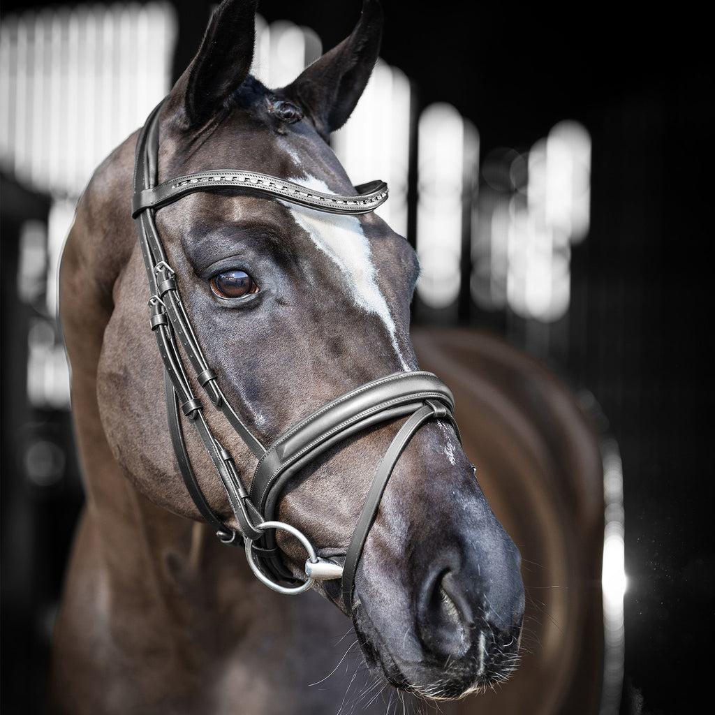 LeMieux Arika Dressage Bridle - Black