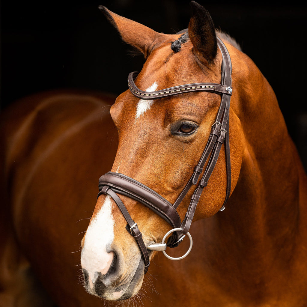 LeMieux Arika Dressage Bridle - Brown