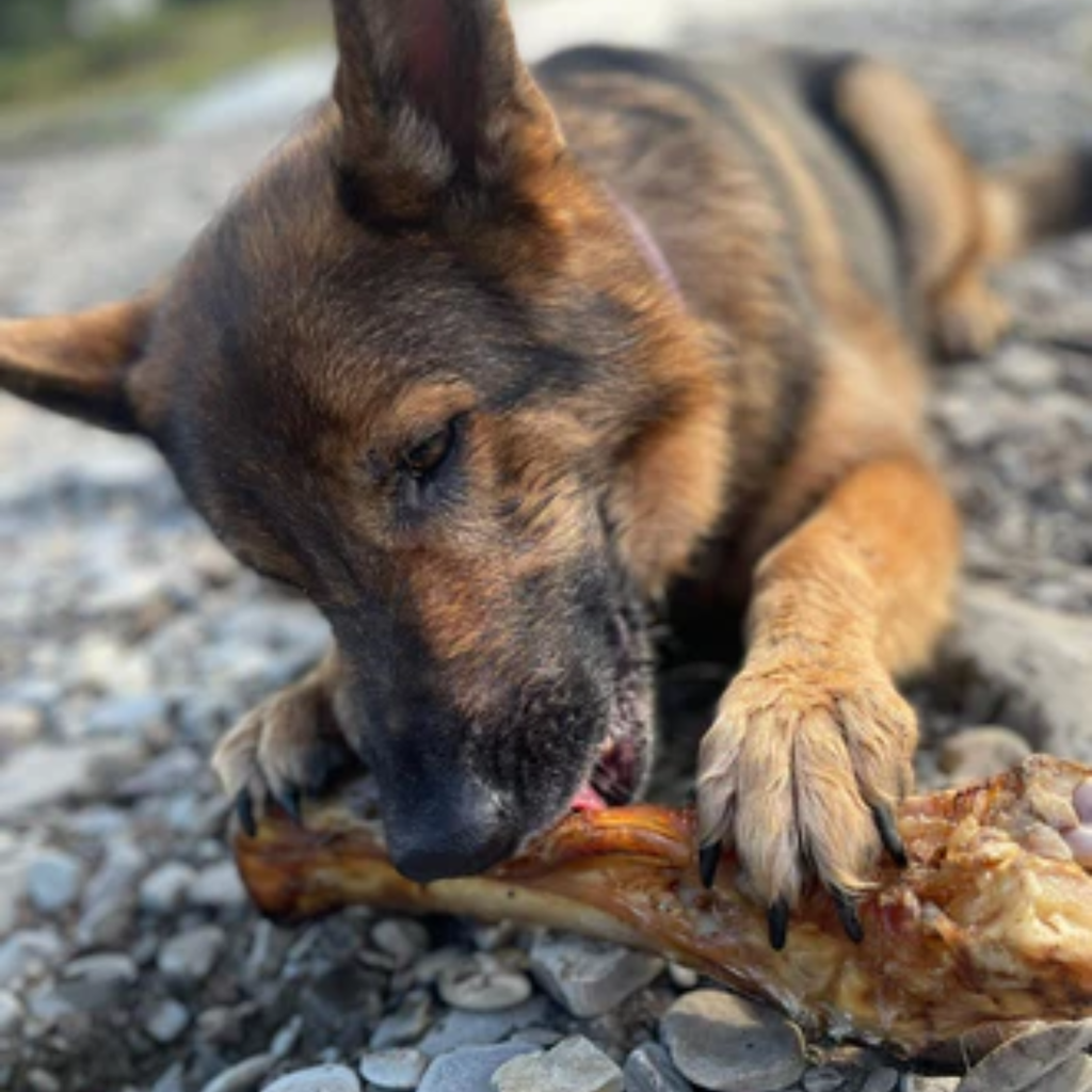 JR Pet Products Beef Feet