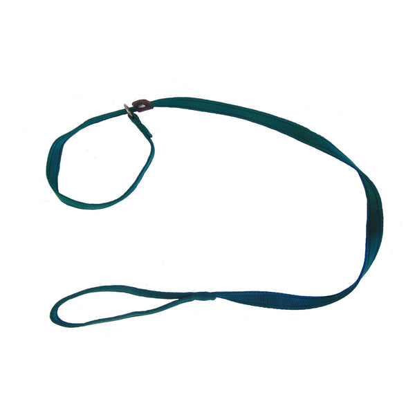 Sporting Saint Cushion Web Slip Lead - Forest Green