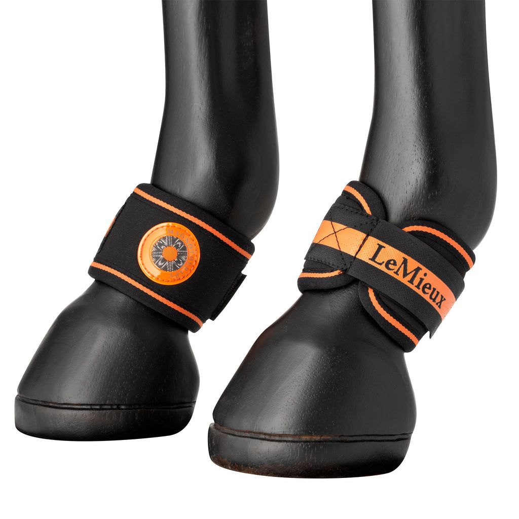 LeMieux Magno Pastern Wrap