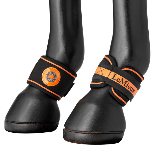 LeMieux Magno Pastern Wrap