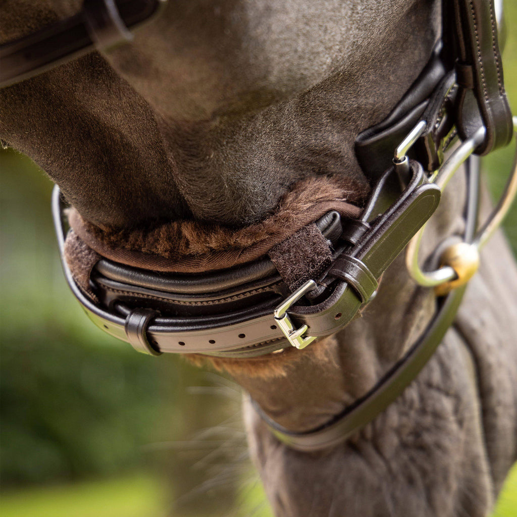 Lemieux Simuwool Chin/Noseband Guard - Brown