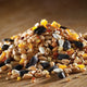 Marriages Berry Traditional Wild Bird Food