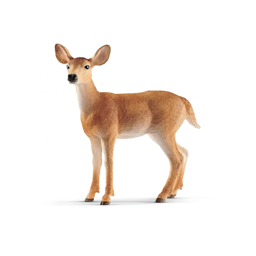 14819 WHITE-TAILED DOE - O/S
