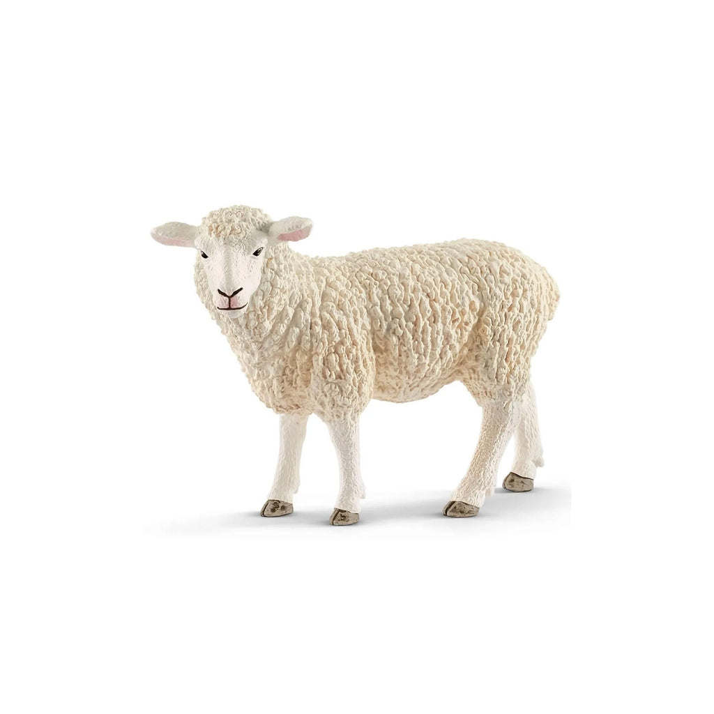 Schleich Sheep