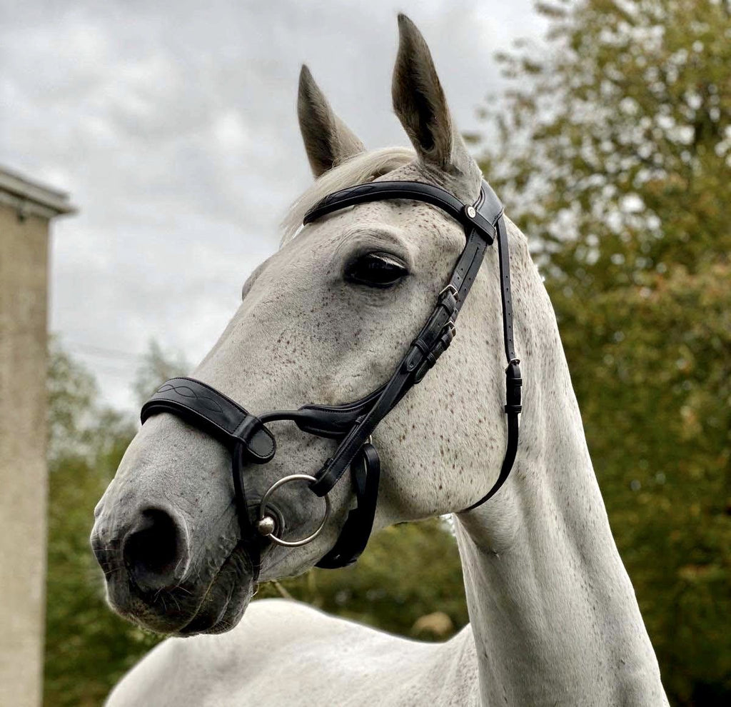 EcoRider Freedom Jump Noseband - Black