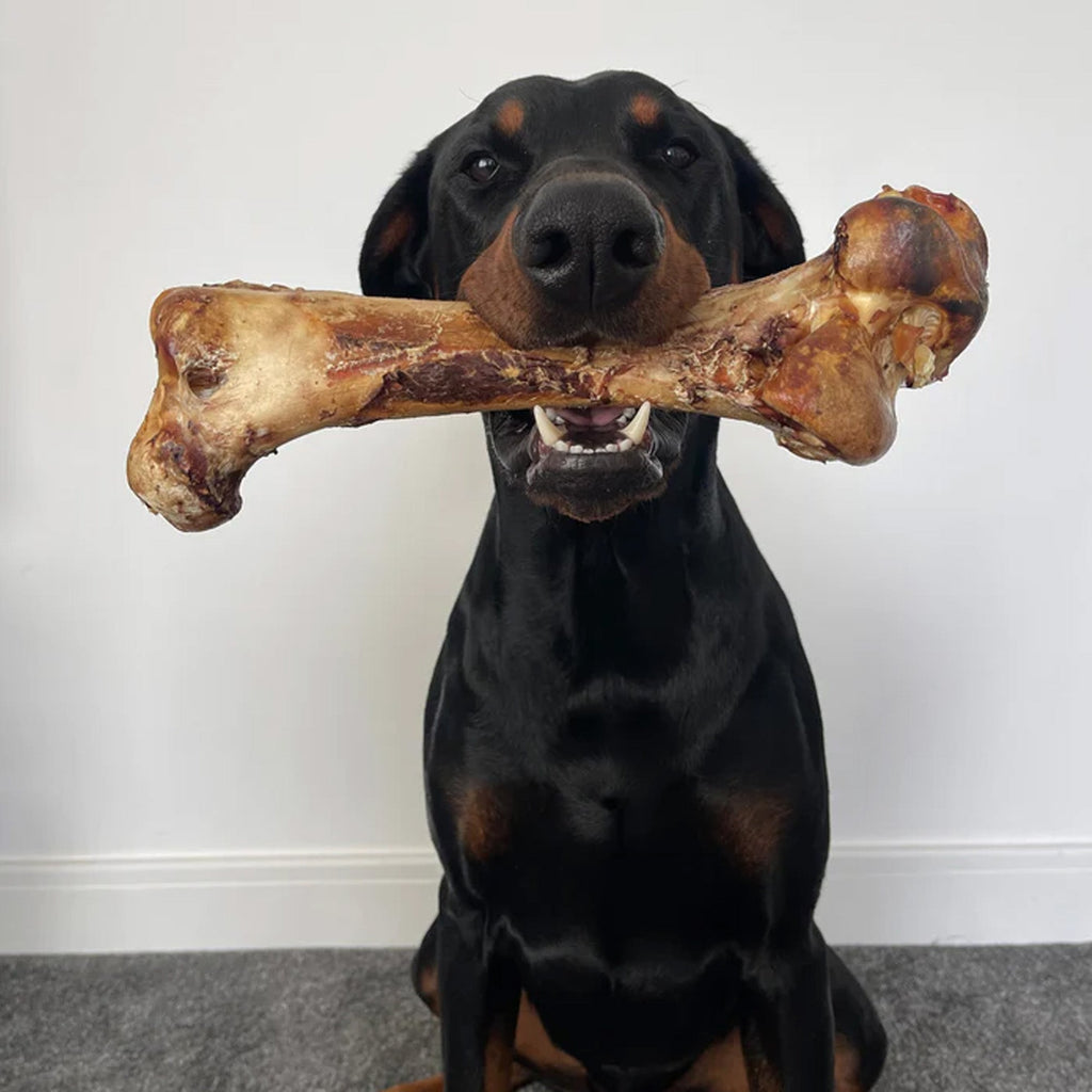 JR Pet Products Ostritch Bone