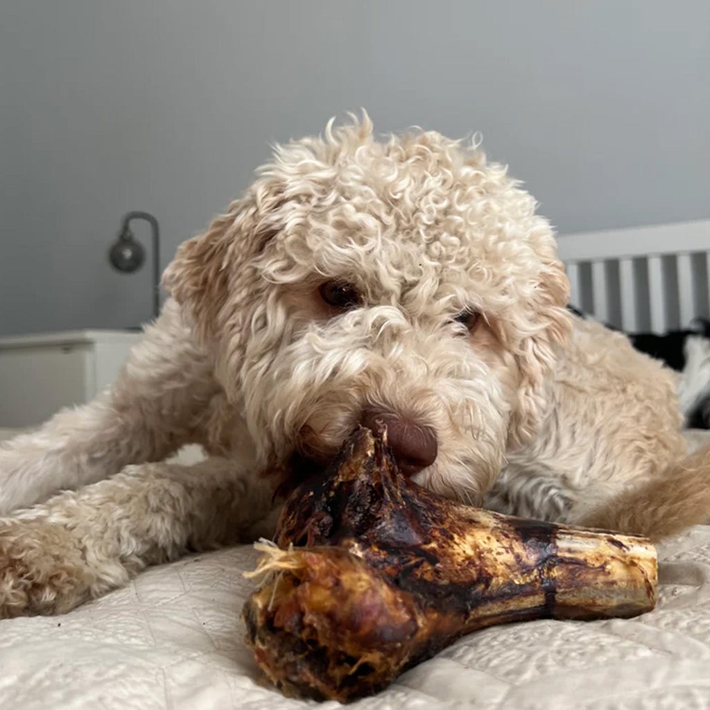 JR Pet Products Ostritch Knuckle Bone