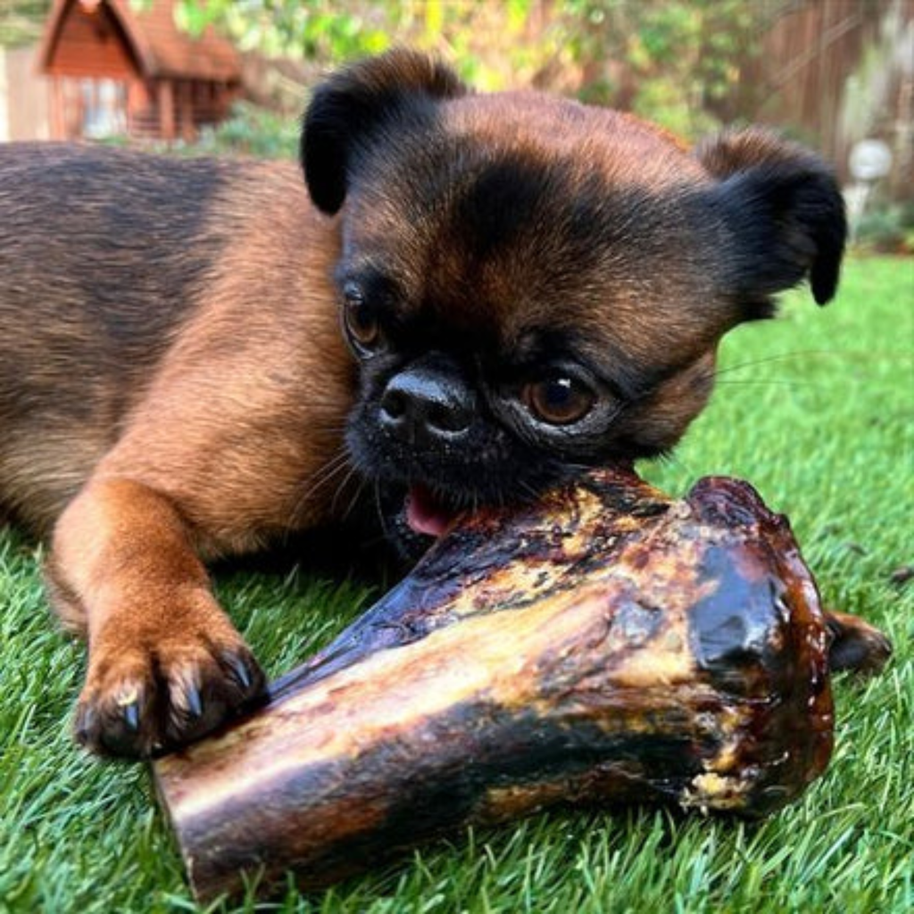 JR Pet Products Ostritch Knuckle Bone