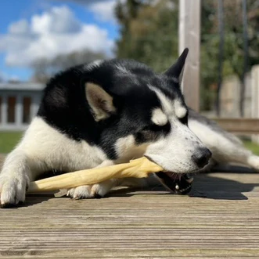 JR Pet Products Beef Skin Slice - 75cm
