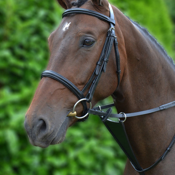 Hy Equestrian Bib Martingale - Black