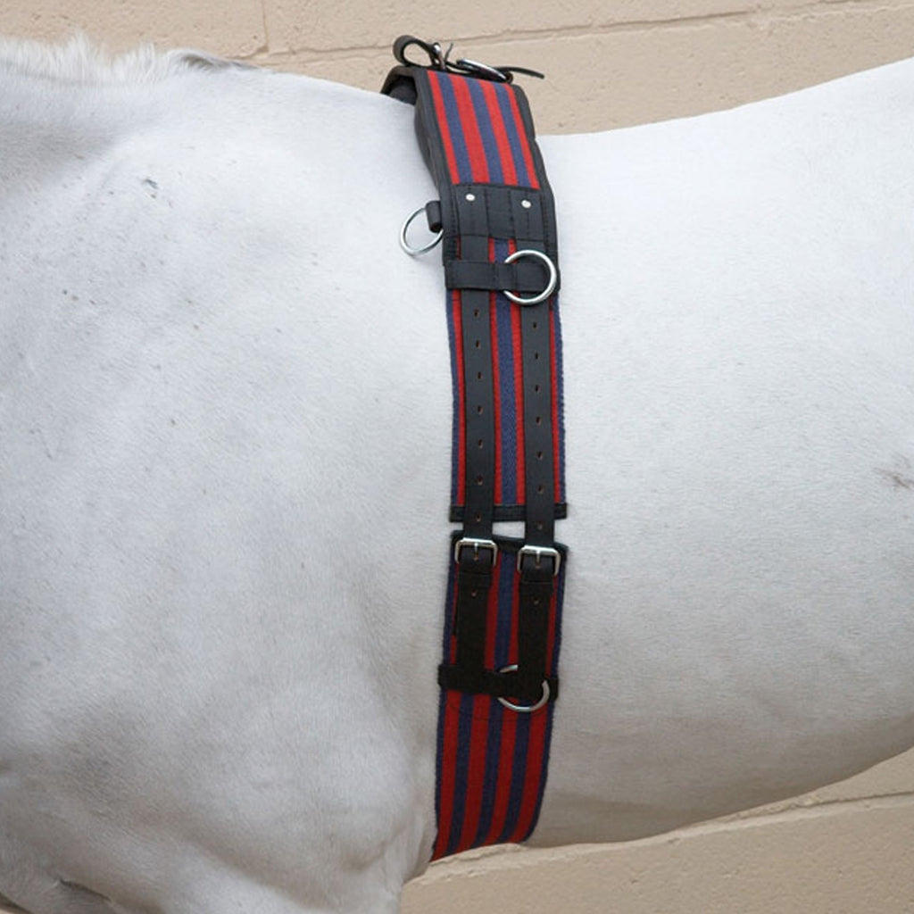 Hy Equestrian Training Roller Blue/Red