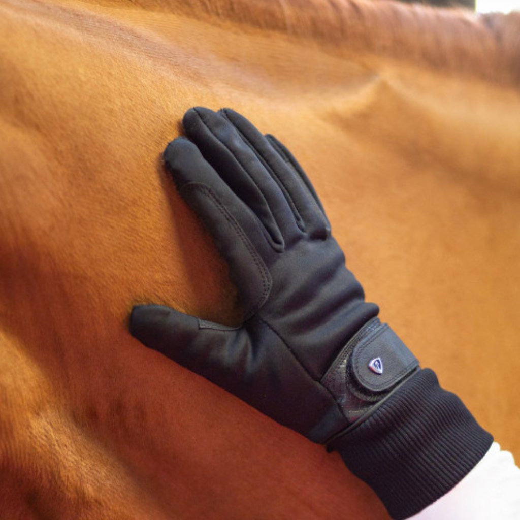 Hy Equestrian Thinsulate Rainstorm Gloves - Black