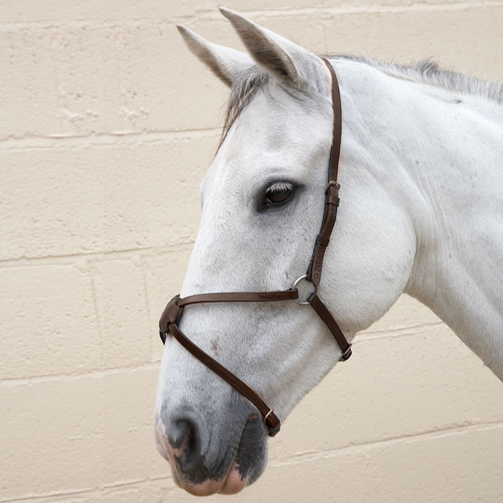 Hy Equestrian Mexican Grackle Nose Band Brown