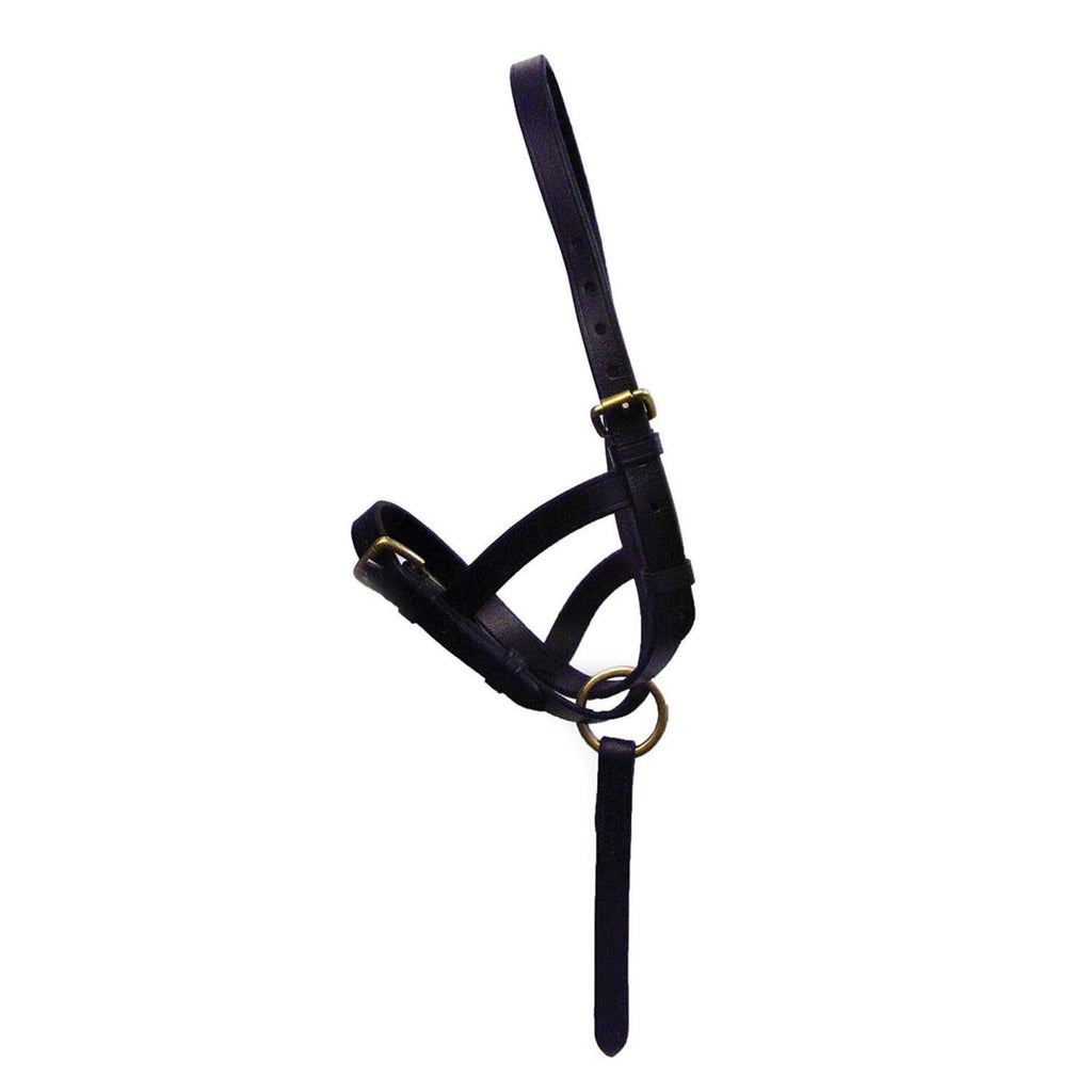 Hy Equestrian Leather Foal Slip - Brown