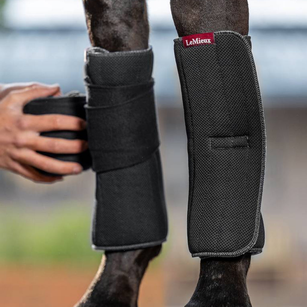 LeMieux Memory Foam Bandage Pads - Black
