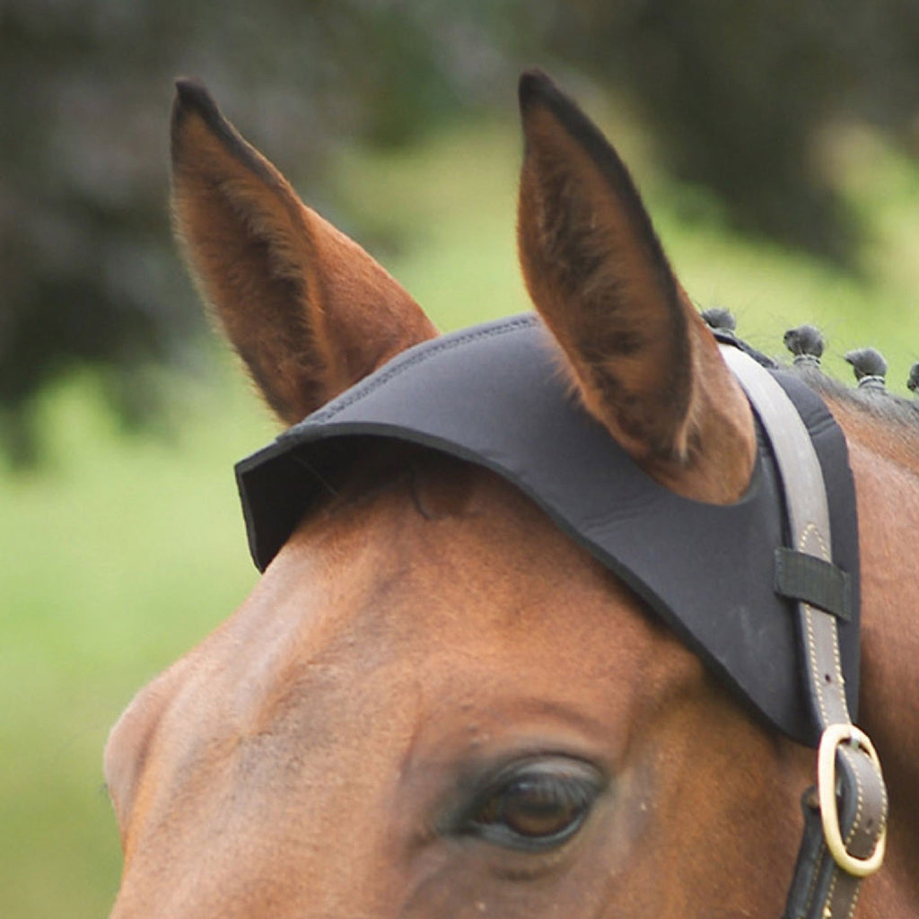 Hy Poll Guard
