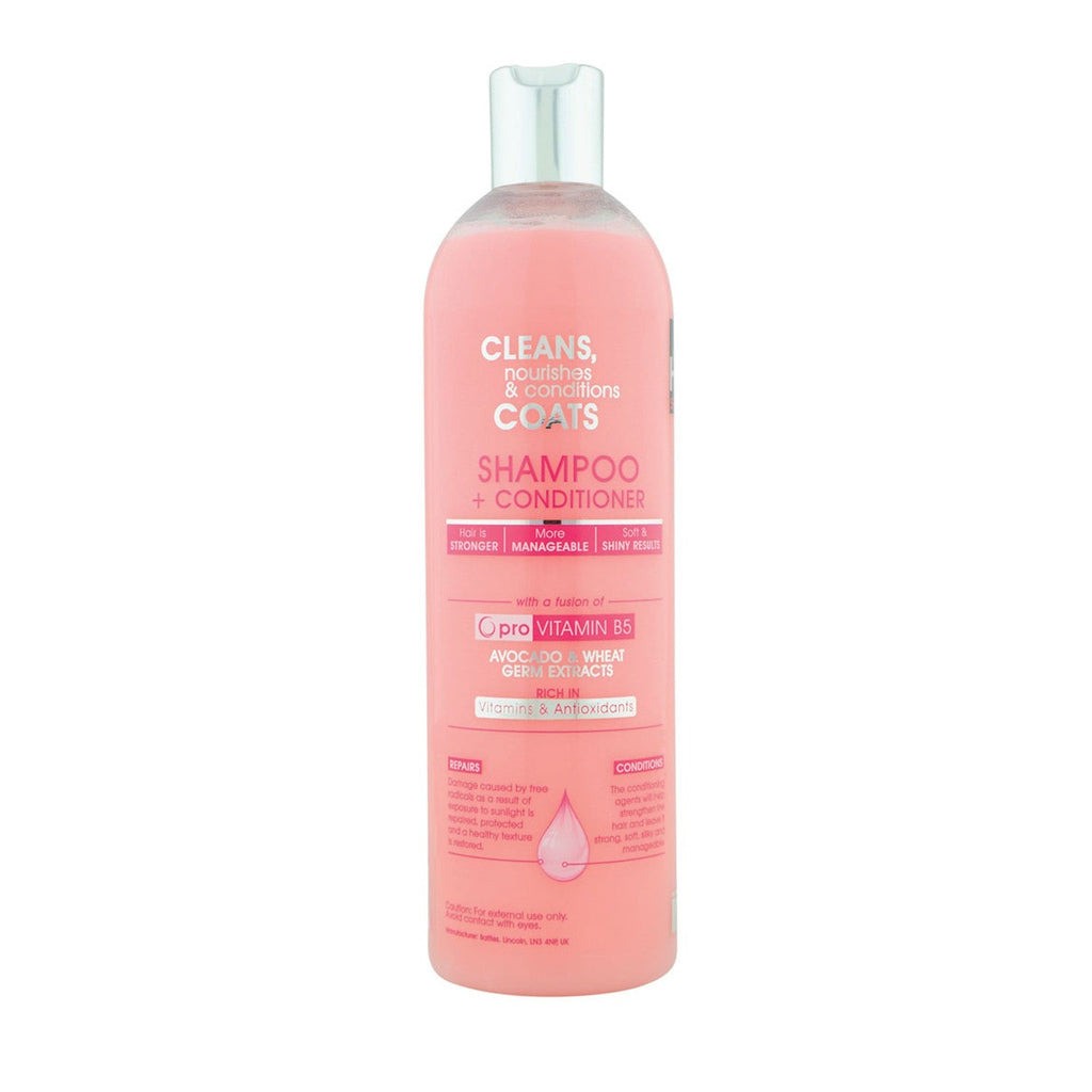 HySHINE Magic Sparkle 2 In 1 Shampoo and Conditioner