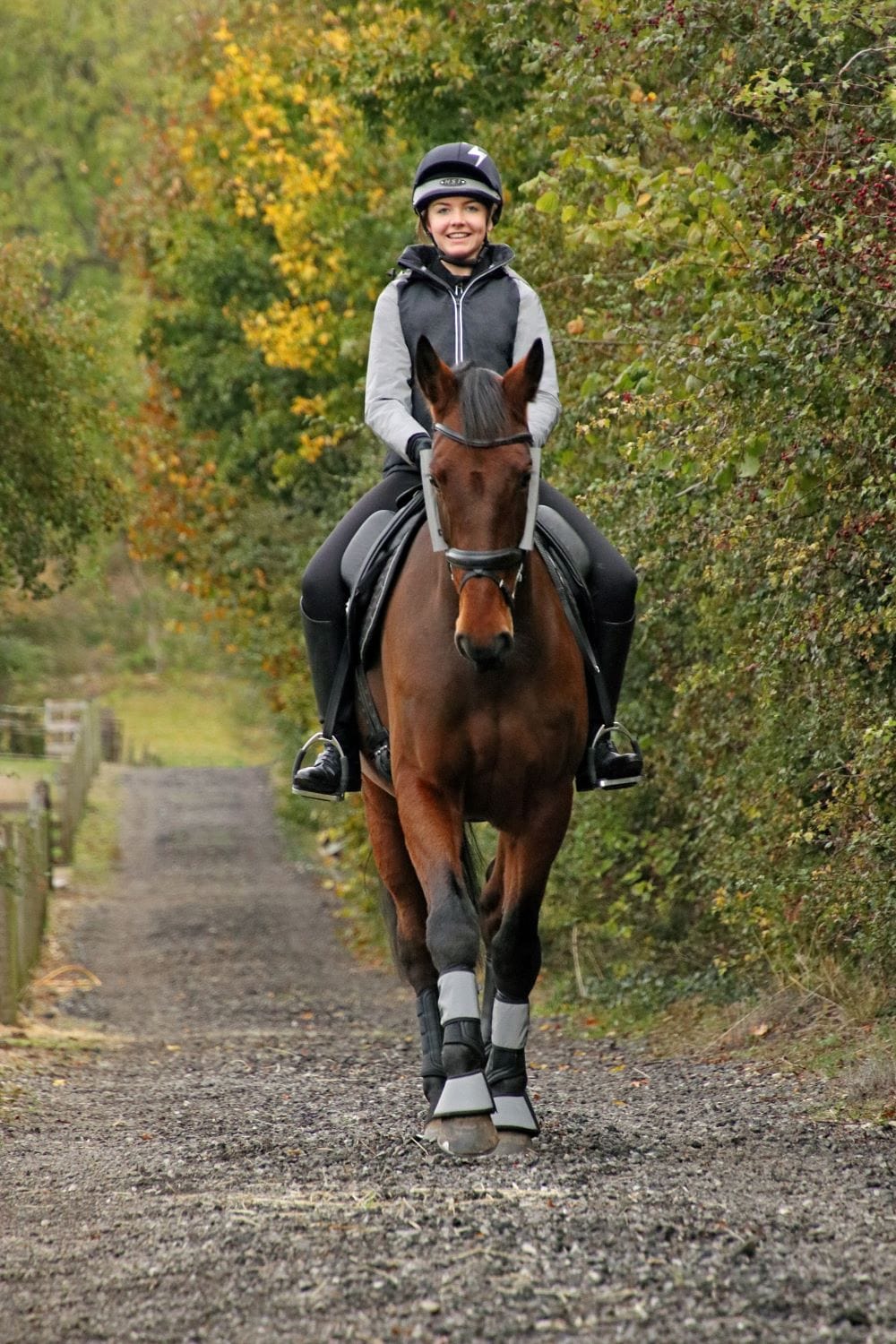 Silva Flash Reflective Leg Band By Hy Equestrian