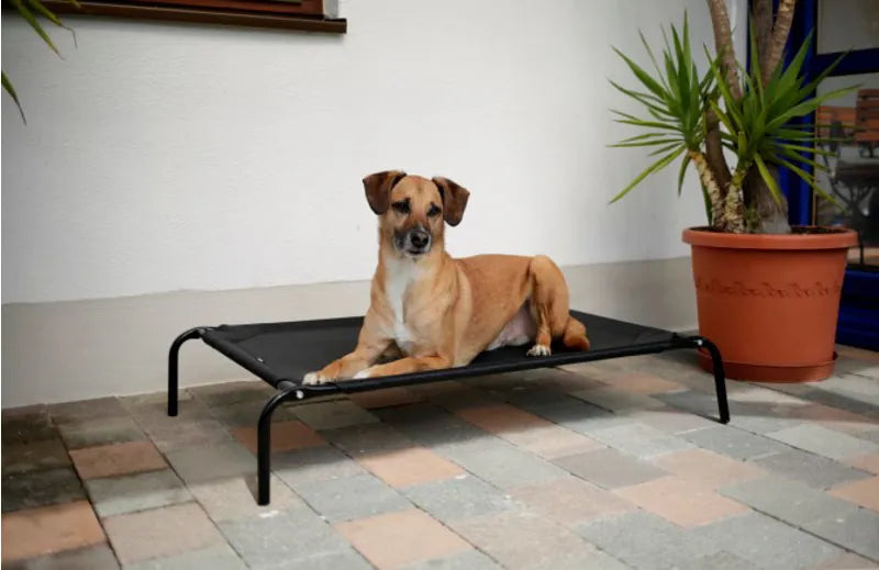 Kerbl Dog Couch Vacation - Black
