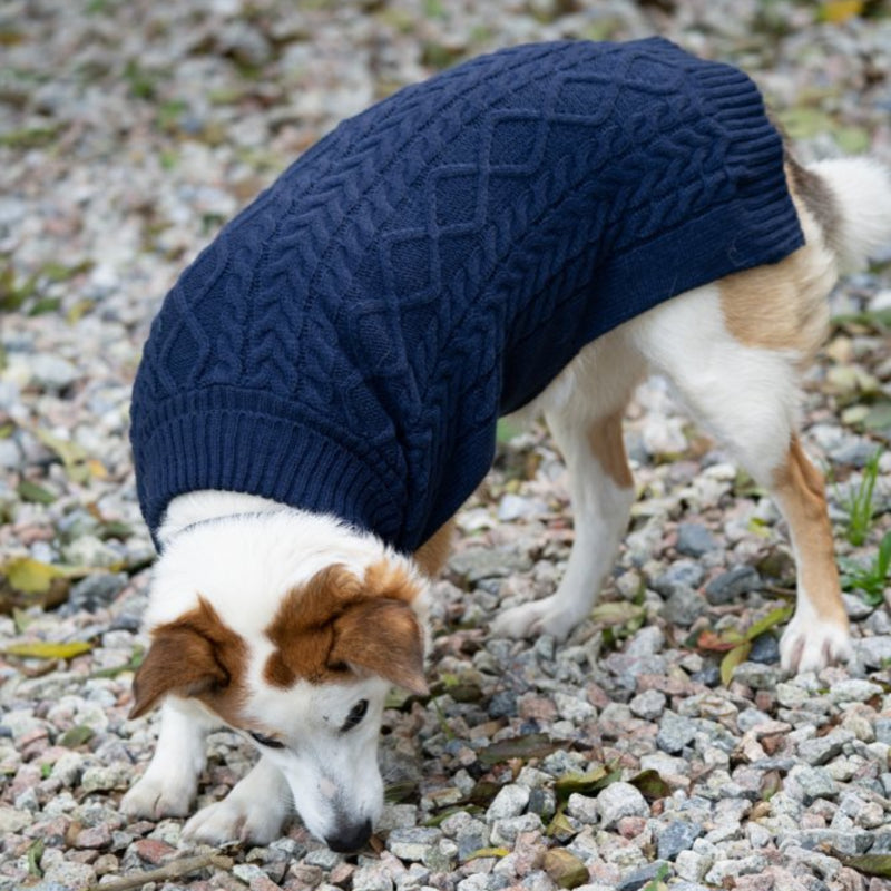 Petface Knitted Dog Jumper - Navy