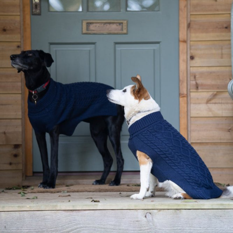 Petface Knitted Dog Jumper - Navy
