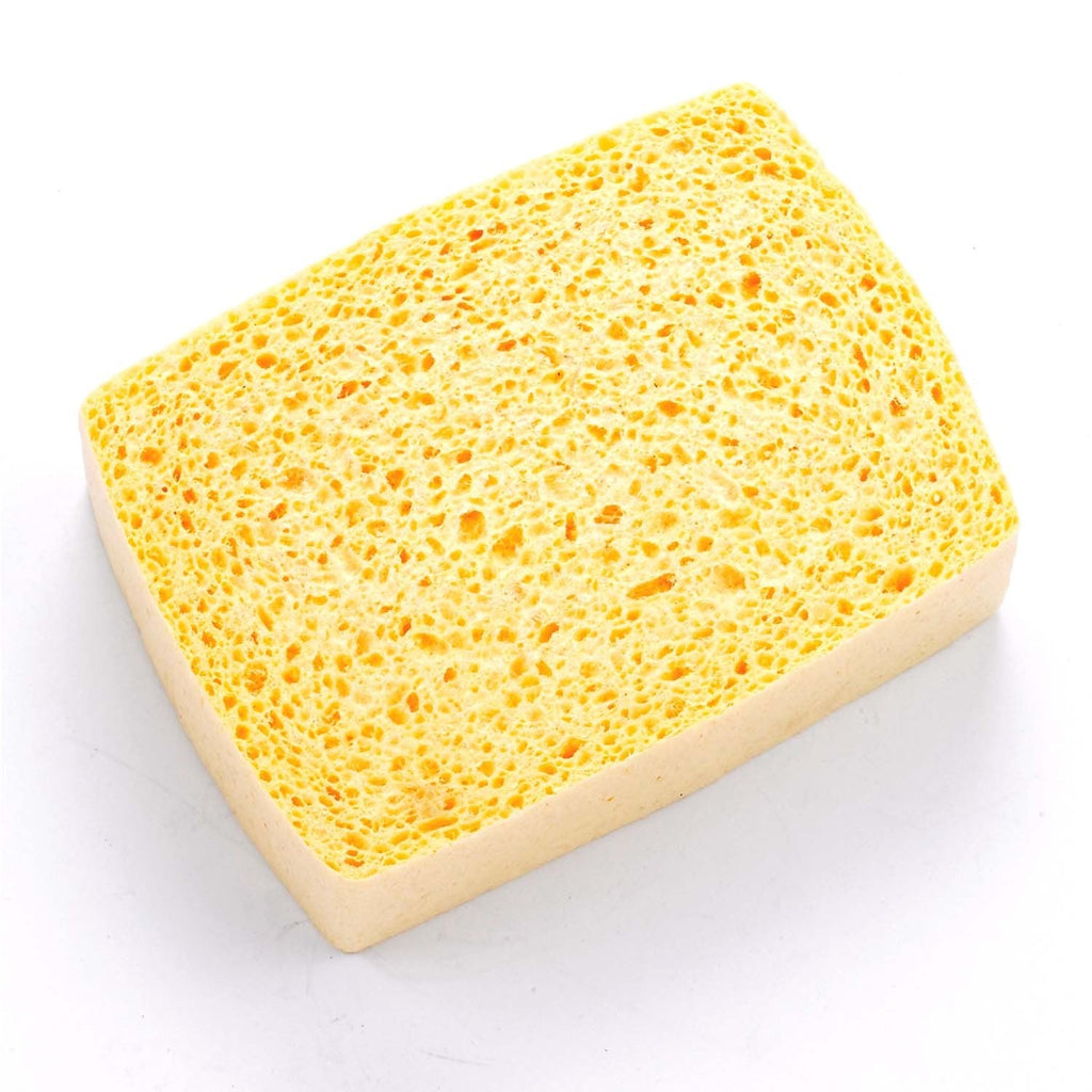 Lincoln Sponge