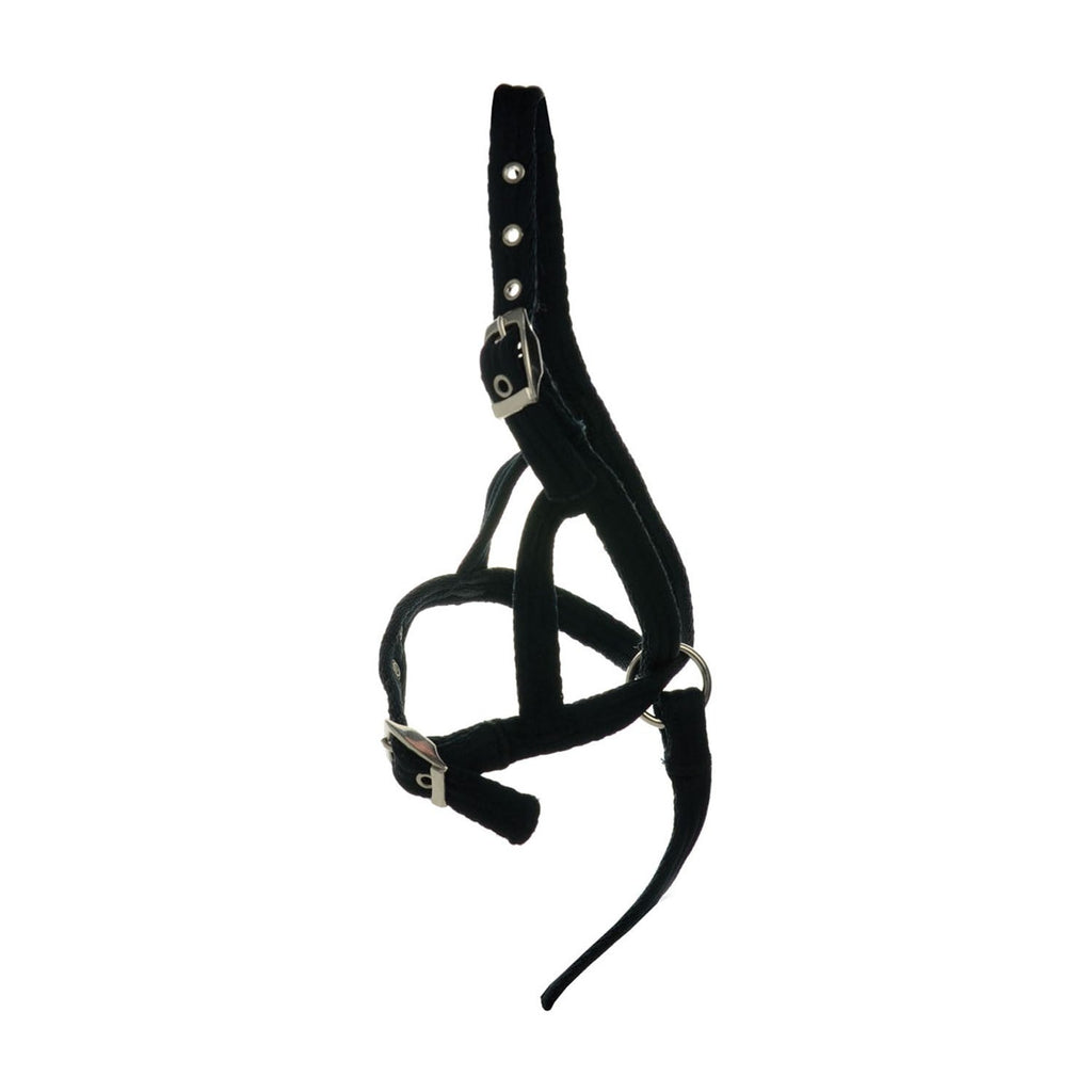 Hy Foal Slip Halter - Black