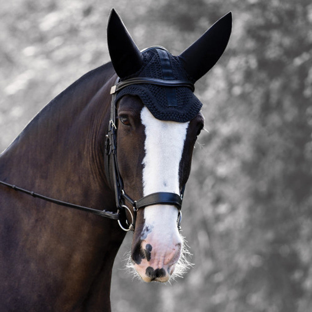 Horse Soundless Ear Net Hood
