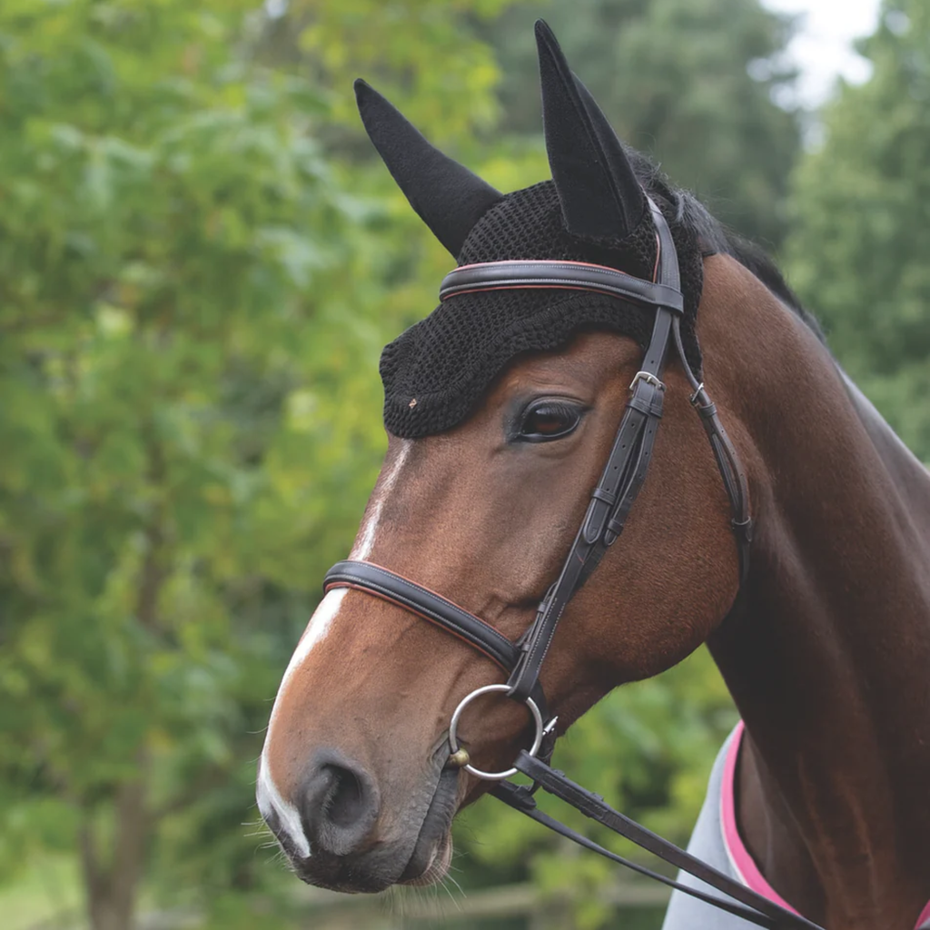 Horse Soundless Ear Net Hood
