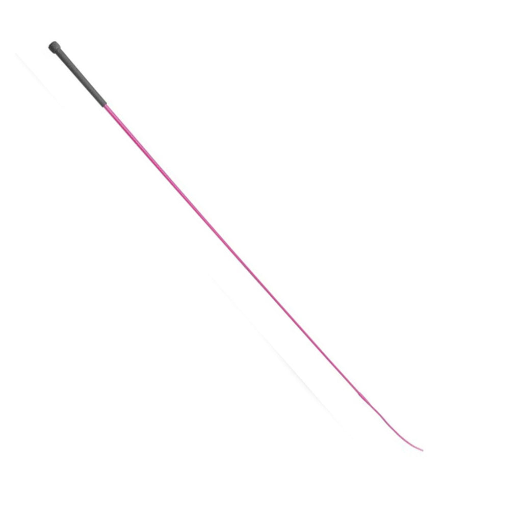 Economy Schooling Whip - Raspberry