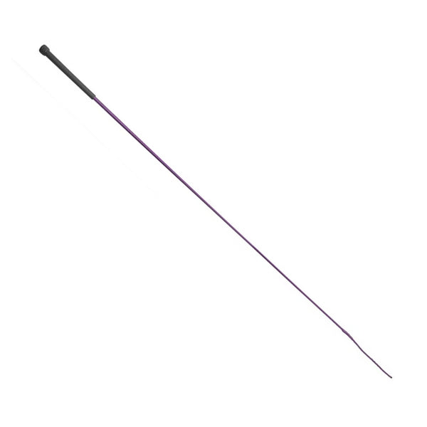 Economy Schooling Whip - Purple