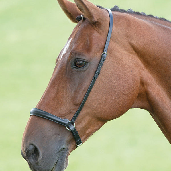 Velociti GARA Drop Noseband - Black