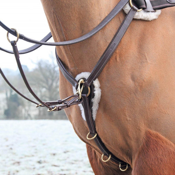 Salisbury Five Point Breastplate Havana