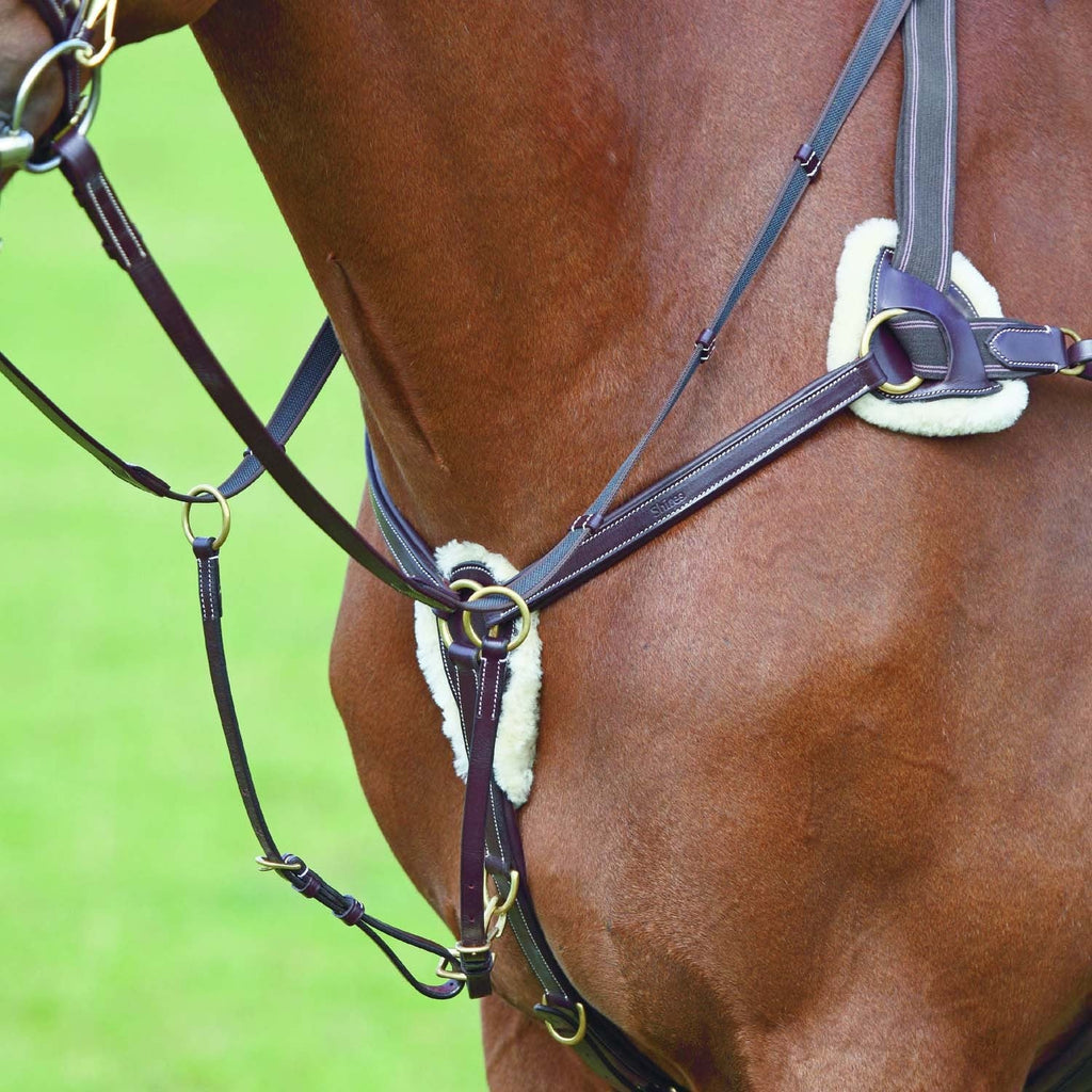 Salisbury Five Point Breastplate Australian Nut