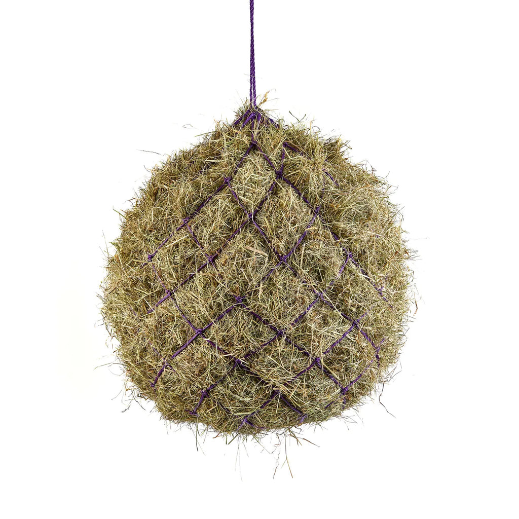 Shires 1026 Haynet - Purple