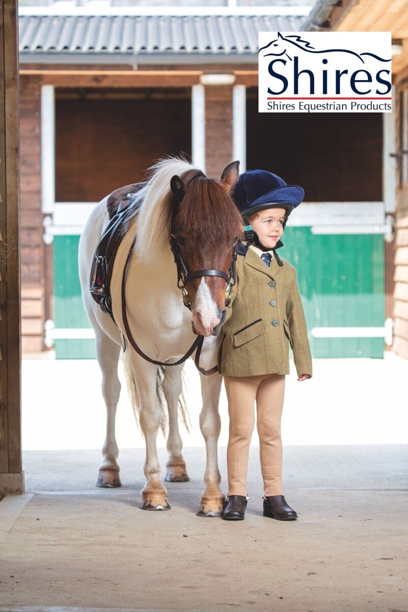 Velociti GARA Pony Pad - Havana